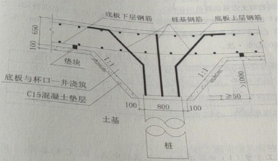 2019���������ʦ�����������⼰��